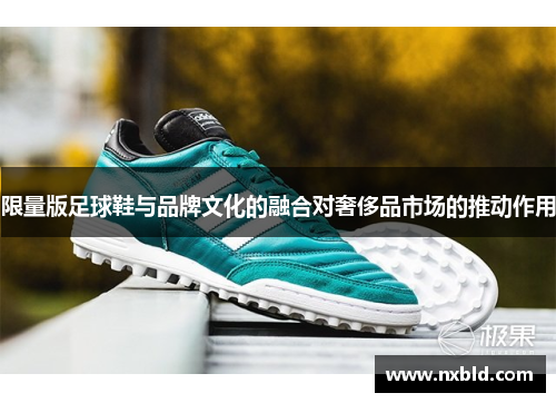 限量版足球鞋与品牌文化的融合对奢侈品市场的推动作用