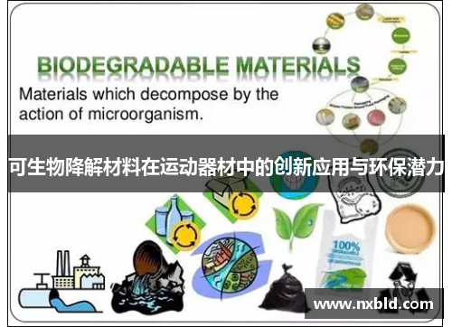 可生物降解材料在运动器材中的创新应用与环保潜力